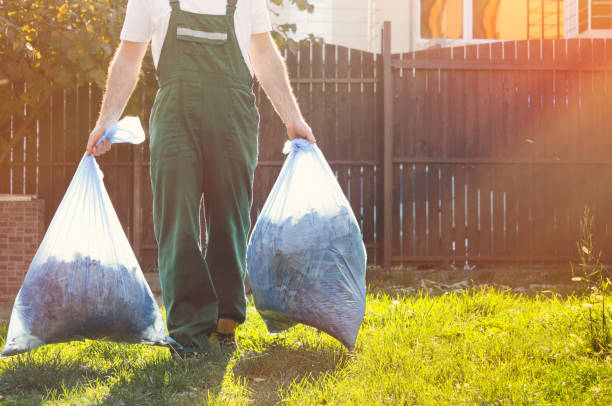 Best Basement Cleanout  in Waukegan, IL